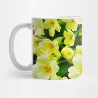 Floral pattern, Primula vulgaris Mug